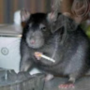 Meet your Posher, Joseph